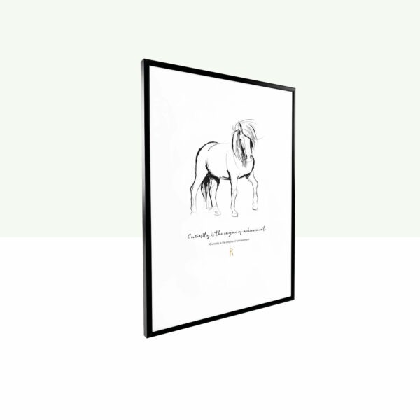 studio-karel-van-griensven-poster-paard-illustratie-curiosity