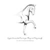 studio-karel-van-griensven-poster-paard-illustratie-dreams-1