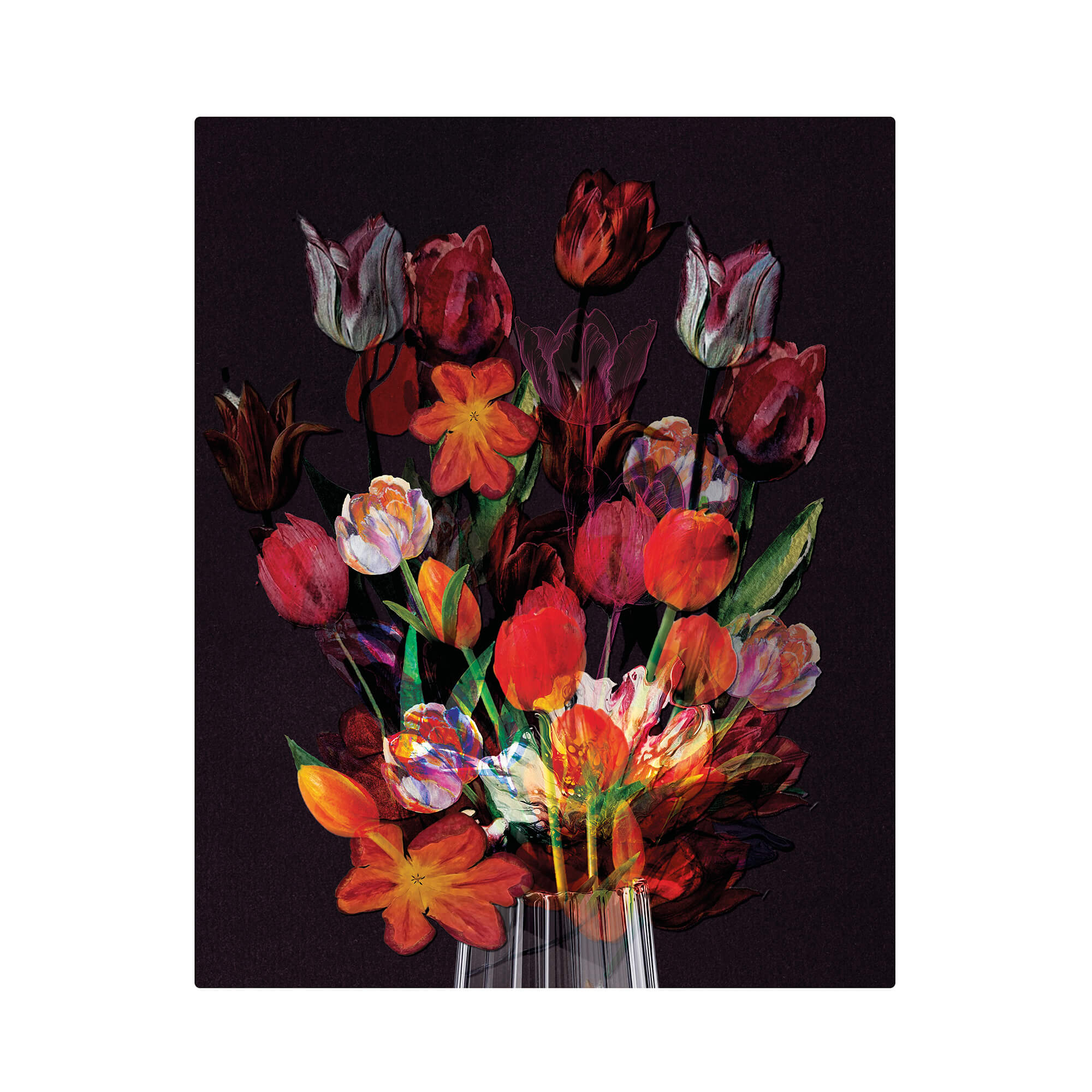 studio-karel-Nº4-vigorous-velvet-paint-for-parkinson-karel-van-griensven